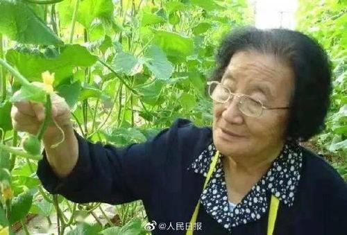 娱乐吃瓜酱连自己人也坑,坑人无数，连自己人也坑