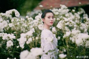 刘诗诗娱乐圈吃瓜,揭秘明星背后的“瓜”事